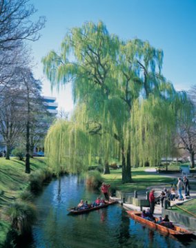 Christchurch Avon River